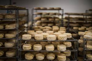 Jean-Baptiste PETER - JIB PETER PHOTOGRAPHE